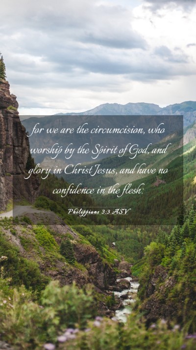 Picture 03 - Philippians 3:3 ASV Mobile Phone Wallpaper - for we are the circumcision, who worship by the - Mobile Bible Verse Wallpaper