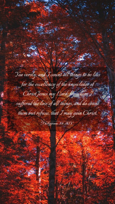 Picture 03 - Philippians 3:8 ASV Mobile Phone Wallpaper - Yea verily, and I count all things to be loss for - Mobile Bible Verse Wallpaper