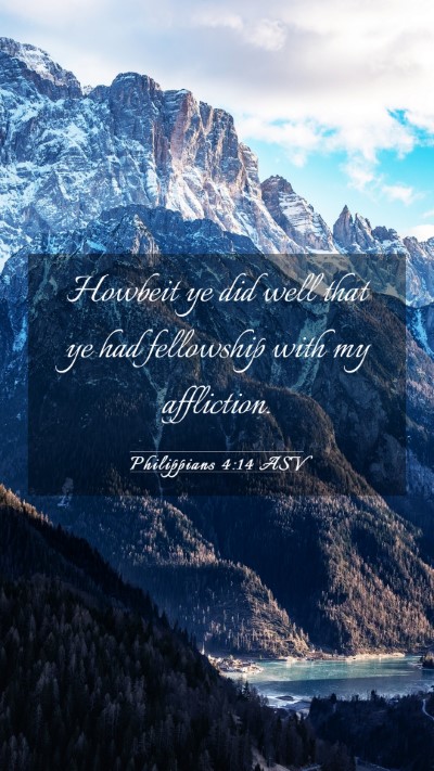 Picture 03 - Philippians 4:14 ASV Mobile Phone Wallpaper - Howbeit ye did well that ye had fellowship with - Mobile Bible Verse Wallpaper