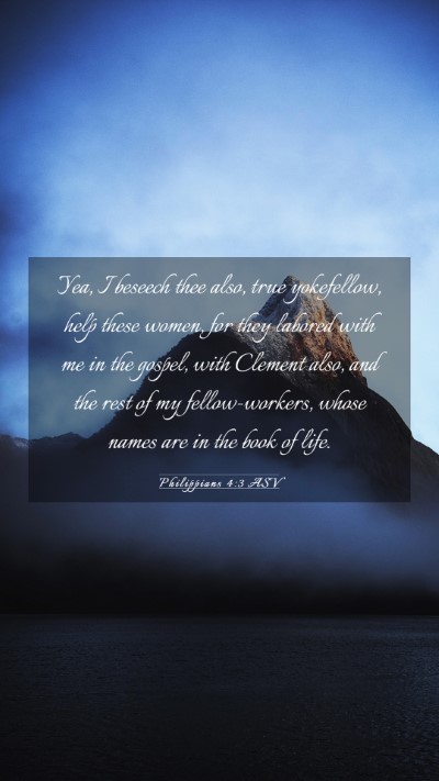 Picture 03 - Philippians 4:3 ASV Mobile Phone Wallpaper - Yea, I beseech thee also, true yokefellow, help - Mobile Bible Verse Wallpaper