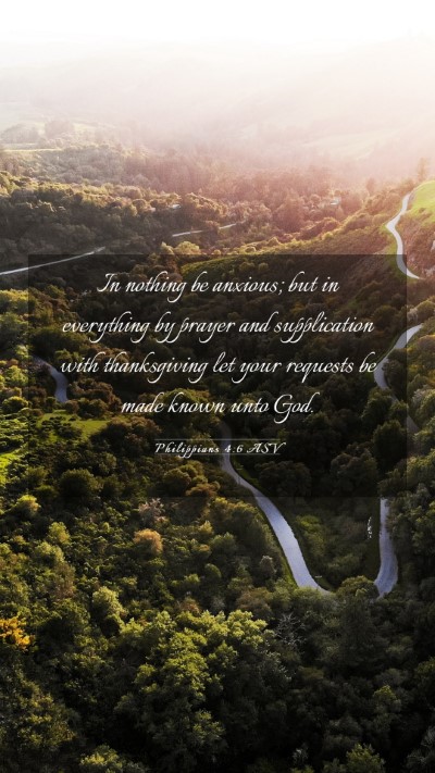 Picture 03 - Philippians 4:6 ASV Mobile Phone Wallpaper - In nothing be anxious; but in everything by - Mobile Bible Verse Wallpaper