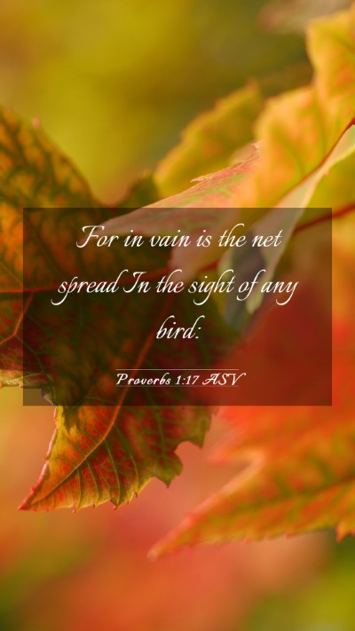 Picture 03 - Proverbs 1:17 ASV Mobile Phone Wallpaper - For in vain is the net spread In the sight of any - Mobile Bible Verse Wallpaper