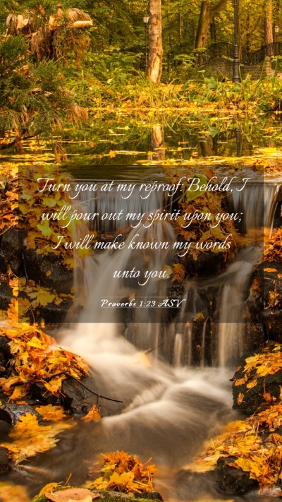 Picture 03 - Proverbs 1:23 ASV Mobile Phone Wallpaper - Turn you at my reproof: Behold, I will pour out - Mobile Bible Verse Wallpaper