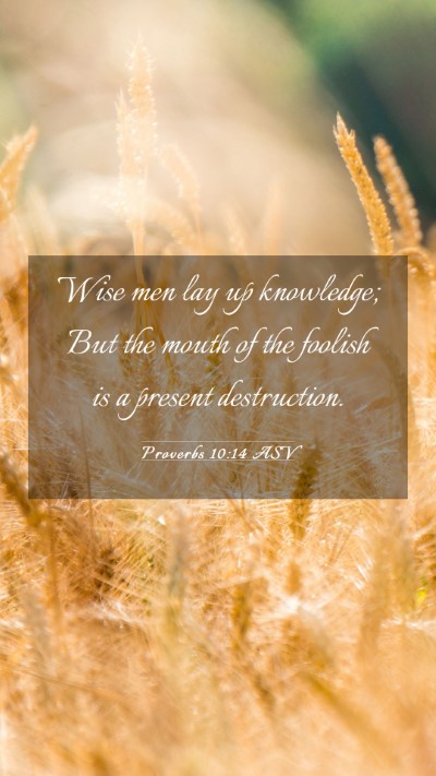 Picture 03 - Proverbs 10:14 ASV Mobile Phone Wallpaper - Wise men lay up knowledge; But the mouth of the - Mobile Bible Verse Wallpaper