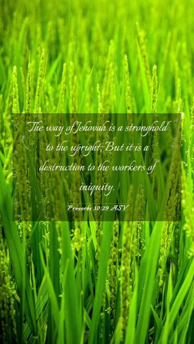 Picture 03 - Proverbs 10:29 ASV Mobile Phone Wallpaper - The way of Jehovah is a stronghold to the - Mobile Bible Verse Wallpaper
