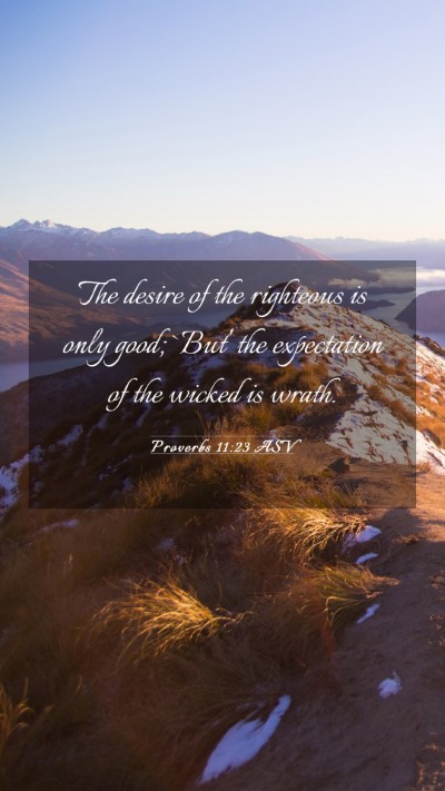 Picture 03 - Proverbs 11:23 ASV Mobile Phone Wallpaper - The desire of the righteous is only good; `But' - Mobile Bible Verse Wallpaper