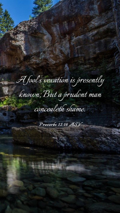 Picture 03 - Proverbs 12:16 ASV Mobile Phone Wallpaper - A fool's vexation is presently known; But a - Mobile Bible Verse Wallpaper