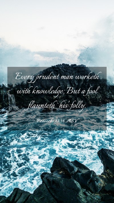 Picture 03 - Proverbs 13:16 ASV Mobile Phone Wallpaper - Every prudent man worketh with knowledge; But a - Mobile Bible Verse Wallpaper