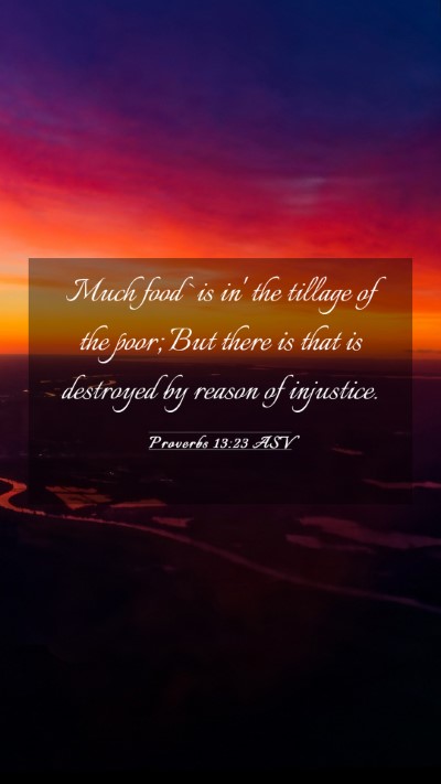 Picture 03 - Proverbs 13:23 ASV Mobile Phone Wallpaper - Much food `is in' the tillage of the poor; But - Mobile Bible Verse Wallpaper