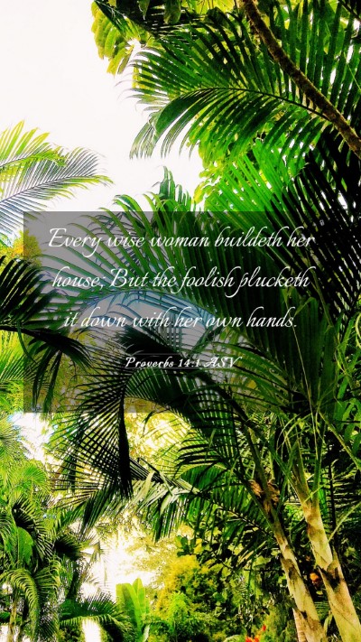 Picture 03 - Proverbs 14:1 ASV Mobile Phone Wallpaper - Every wise woman buildeth her house; But the - Mobile Bible Verse Wallpaper