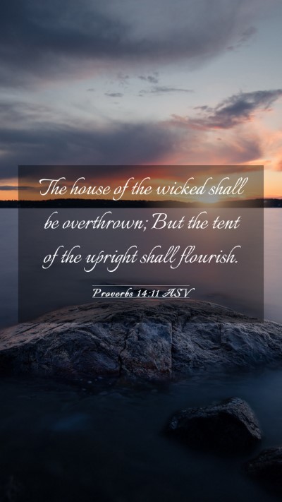Picture 03 - Proverbs 14:11 ASV Mobile Phone Wallpaper - The house of the wicked shall be overthrown; But - Mobile Bible Verse Wallpaper