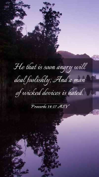Picture 03 - Proverbs 14:17 ASV Mobile Phone Wallpaper - He that is soon angry will deal foolishly; And a - Mobile Bible Verse Wallpaper