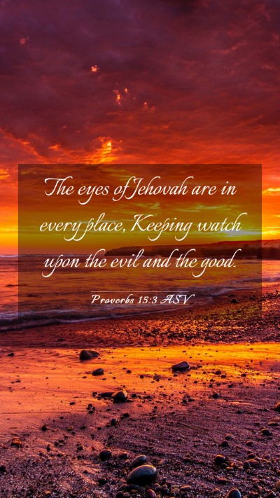 Picture 03 - Proverbs 15:3 ASV Mobile Phone Wallpaper - The eyes of Jehovah are in every place, Keeping - Mobile Bible Verse Wallpaper
