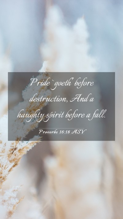 Picture 03 - Proverbs 16:18 ASV Mobile Phone Wallpaper - Pride `goeth' before destruction, And a haughty - Mobile Bible Verse Wallpaper