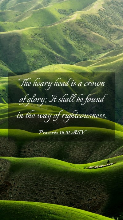 Picture 03 - Proverbs 16:31 ASV Mobile Phone Wallpaper - The hoary head is a crown of glory; It shall be - Mobile Bible Verse Wallpaper