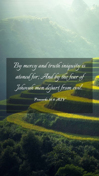 Picture 03 - Proverbs 16:6 ASV Mobile Phone Wallpaper - By mercy and truth iniquity is atoned for; And by - Mobile Bible Verse Wallpaper
