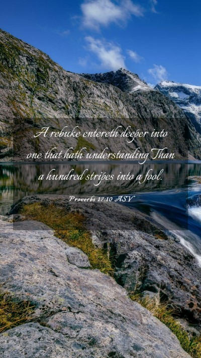 Picture 03 - Proverbs 17:10 ASV Mobile Phone Wallpaper - A rebuke entereth deeper into one that hath - Mobile Bible Verse Wallpaper