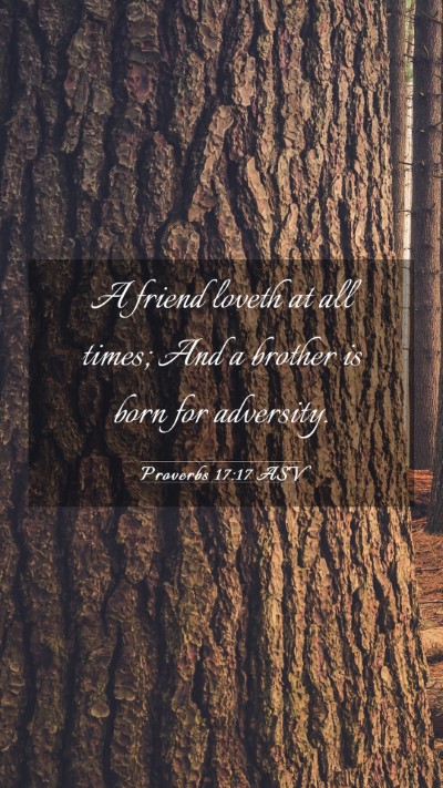 Picture 03 - Proverbs 17:17 ASV Mobile Phone Wallpaper - A friend loveth at all times; And a brother is - Mobile Bible Verse Wallpaper