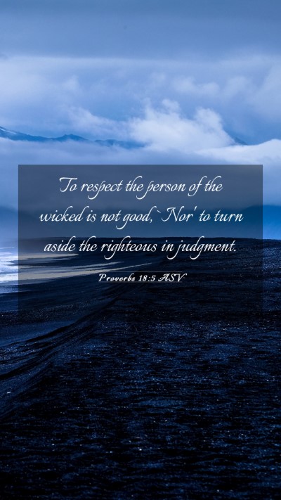 Picture 03 - Proverbs 18:5 ASV Mobile Phone Wallpaper - To respect the person of the wicked is not good, - Mobile Bible Verse Wallpaper