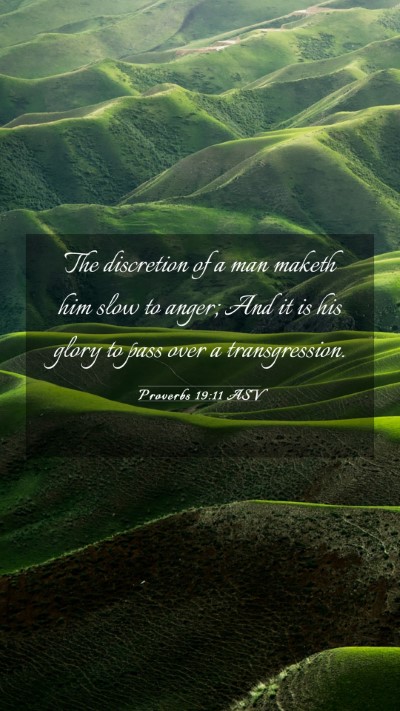 Picture 03 - Proverbs 19:11 ASV Mobile Phone Wallpaper - The discretion of a man maketh him slow to anger; - Mobile Bible Verse Wallpaper
