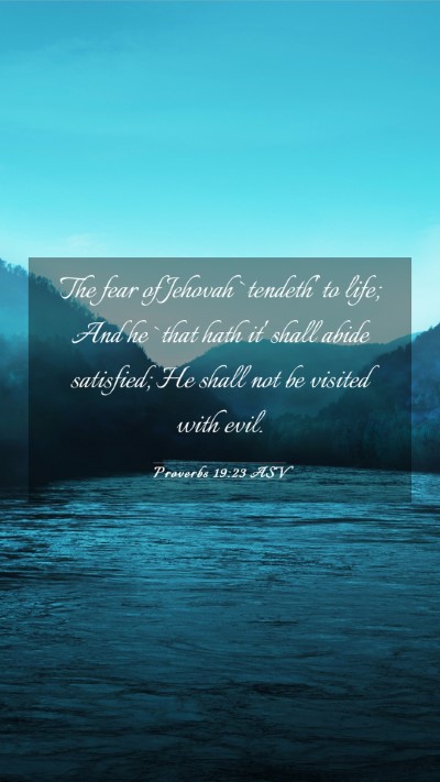 Picture 03 - Proverbs 19:23 ASV Mobile Phone Wallpaper - The fear of Jehovah `tendeth' to life; And he - Mobile Bible Verse Wallpaper