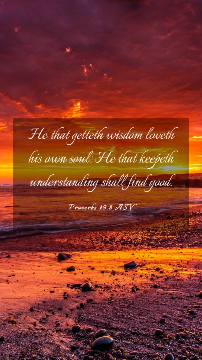 Picture 03 - Proverbs 19:8 ASV Mobile Phone Wallpaper - He that getteth wisdom loveth his own soul: He - Mobile Bible Verse Wallpaper