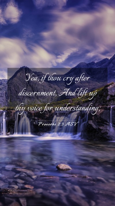 Picture 03 - Proverbs 2:3 ASV Mobile Phone Wallpaper - Yea, if thou cry after discernment, And lift up - Mobile Bible Verse Wallpaper