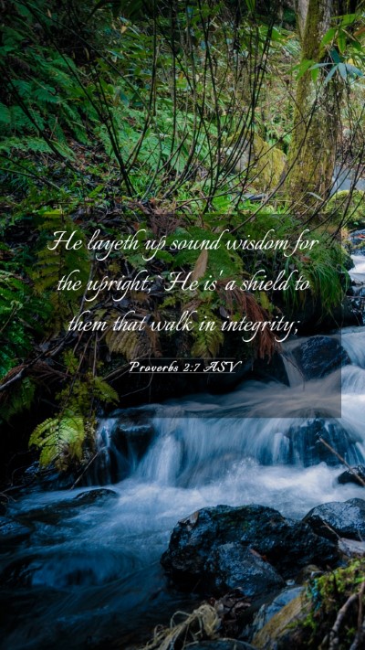 Picture 03 - Proverbs 2:7 ASV Mobile Phone Wallpaper - He layeth up sound wisdom for the upright; `He - Mobile Bible Verse Wallpaper
