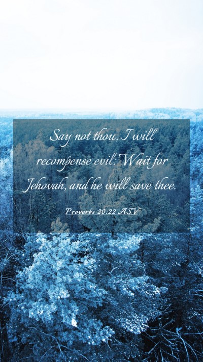 Picture 03 - Proverbs 20:22 ASV Mobile Phone Wallpaper - Say not thou, I will recompense evil: Wait for - Mobile Bible Verse Wallpaper