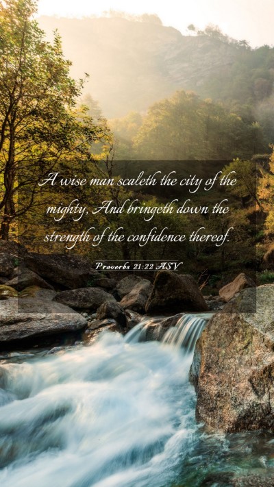 Picture 03 - Proverbs 21:22 ASV Mobile Phone Wallpaper - A wise man scaleth the city of the mighty, And - Mobile Bible Verse Wallpaper