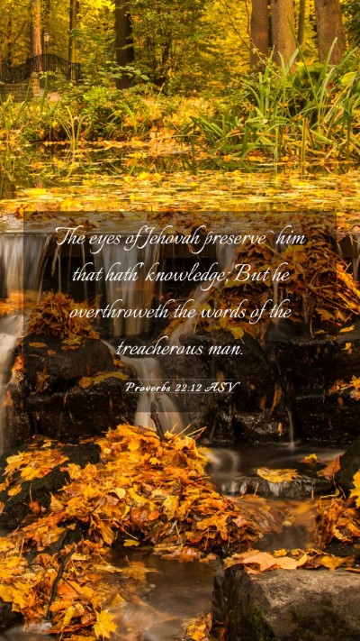 Picture 03 - Proverbs 22:12 ASV Mobile Phone Wallpaper - The eyes of Jehovah preserve `him that hath' - Mobile Bible Verse Wallpaper