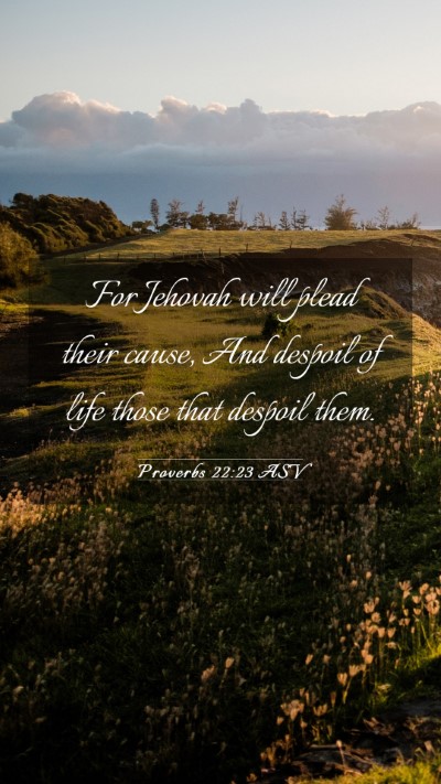 Picture 03 - Proverbs 22:23 ASV Mobile Phone Wallpaper - For Jehovah will plead their cause, And despoil - Mobile Bible Verse Wallpaper