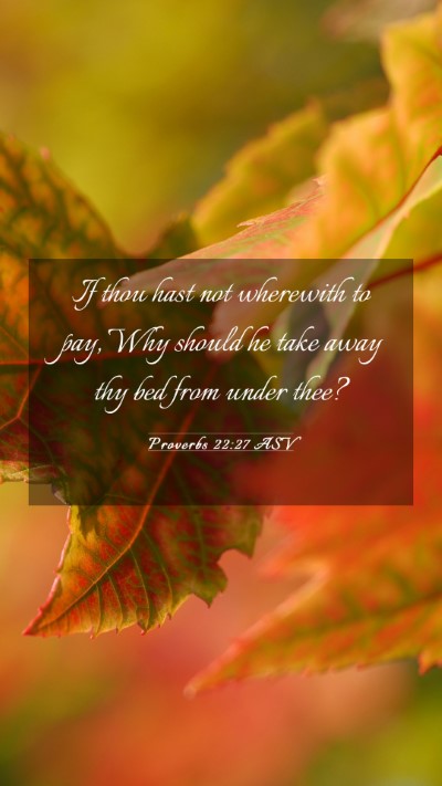 Picture 03 - Proverbs 22:27 ASV Mobile Phone Wallpaper - If thou hast not wherewith to pay, Why should he - Mobile Bible Verse Wallpaper