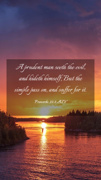 Picture 03 - Proverbs 22:3 ASV Mobile Phone Wallpaper - A prudent man seeth the evil, and hideth himself; - Mobile Bible Verse Wallpaper