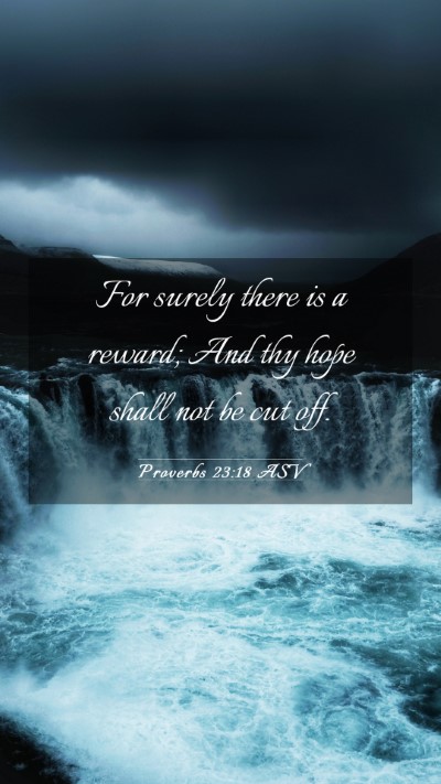 Picture 03 - Proverbs 23:18 ASV Mobile Phone Wallpaper - For surely there is a reward; And thy hope shall - Mobile Bible Verse Wallpaper