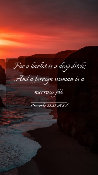 Picture 03 - Proverbs 23:27 ASV Mobile Phone Wallpaper - For a harlot is a deep ditch; And a foreign woman - Mobile Bible Verse Wallpaper