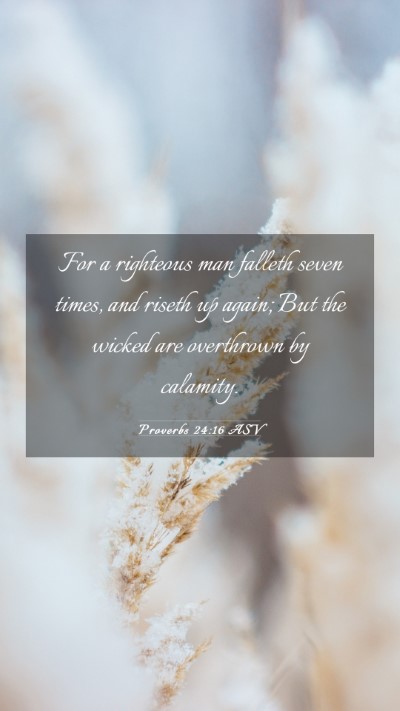 Picture 03 - Proverbs 24:16 ASV Mobile Phone Wallpaper - For a righteous man falleth seven times, and - Mobile Bible Verse Wallpaper