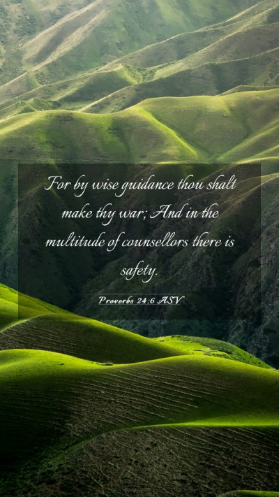 Picture 03 - Proverbs 24:6 ASV Mobile Phone Wallpaper - For by wise guidance thou shalt make thy war; And - Mobile Bible Verse Wallpaper