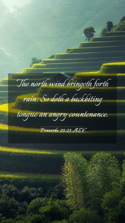 Picture 03 - Proverbs 25:23 ASV Mobile Phone Wallpaper - The north wind bringeth forth rain: So doth a - Mobile Bible Verse Wallpaper