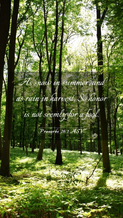 Picture 03 - Proverbs 26:1 ASV Mobile Phone Wallpaper - As snow in summer, and as rain in harvest, So - Mobile Bible Verse Wallpaper