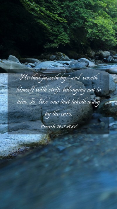 Picture 03 - Proverbs 26:17 ASV Mobile Phone Wallpaper - He that passeth by, `and' vexeth himself with - Mobile Bible Verse Wallpaper