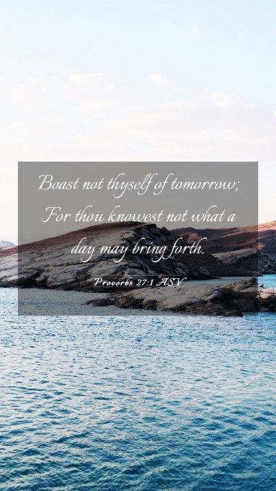 Picture 03 - Proverbs 27:1 ASV Mobile Phone Wallpaper - Boast not thyself of tomorrow; For thou knowest - Mobile Bible Verse Wallpaper