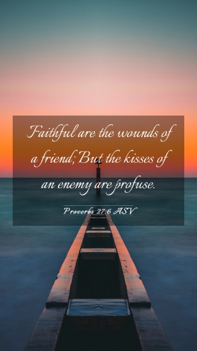 Picture 03 - Proverbs 27:6 ASV Mobile Phone Wallpaper - Faithful are the wounds of a friend; But the - Mobile Bible Verse Wallpaper
