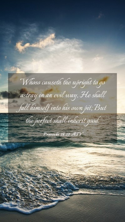 Picture 03 - Proverbs 28:10 ASV Mobile Phone Wallpaper - Whoso causeth the upright to go astray in an evil - Mobile Bible Verse Wallpaper