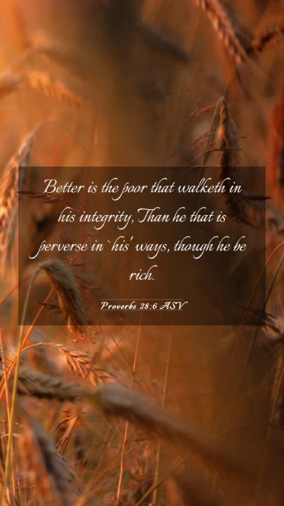 Picture 03 - Proverbs 28:6 ASV Mobile Phone Wallpaper - Better is the poor that walketh in his integrity, - Mobile Bible Verse Wallpaper