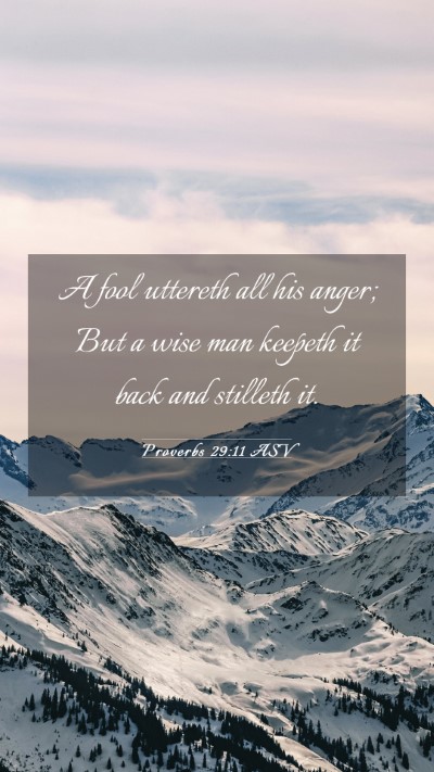 Picture 03 - Proverbs 29:11 ASV Mobile Phone Wallpaper - A fool uttereth all his anger; But a wise man - Mobile Bible Verse Wallpaper