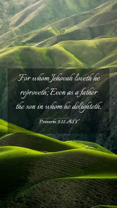 Picture 03 - Proverbs 3:12 ASV Mobile Phone Wallpaper - For whom Jehovah loveth he reproveth; Even as a - Mobile Bible Verse Wallpaper