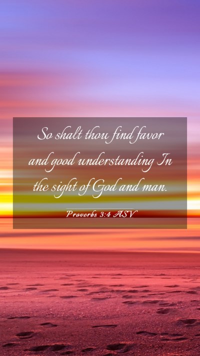 Picture 03 - Proverbs 3:4 ASV Mobile Phone Wallpaper - So shalt thou find favor and good understanding - Mobile Bible Verse Wallpaper