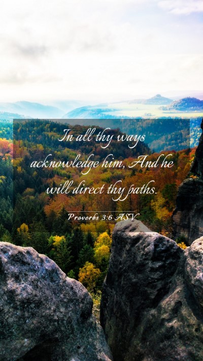 Picture 03 - Proverbs 3:6 ASV Mobile Phone Wallpaper - In all thy ways acknowledge him, And he will - Mobile Bible Verse Wallpaper