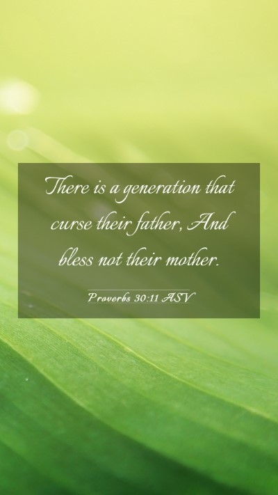 Picture 03 - Proverbs 30:11 ASV Mobile Phone Wallpaper - There is a generation that curse their father, - Mobile Bible Verse Wallpaper